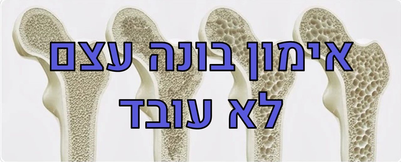 צפיפות עצם לגיל השלישי